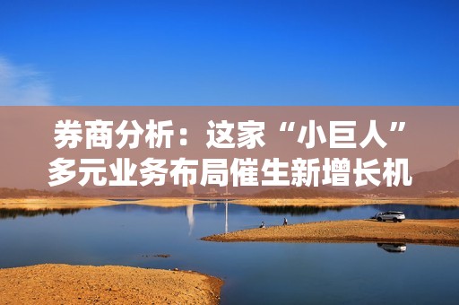 券商分析：这家“小巨人”多元业务布局催生新增长机遇