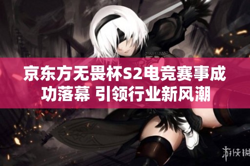 京东方无畏杯S2电竞赛事成功落幕 引领行业新风潮