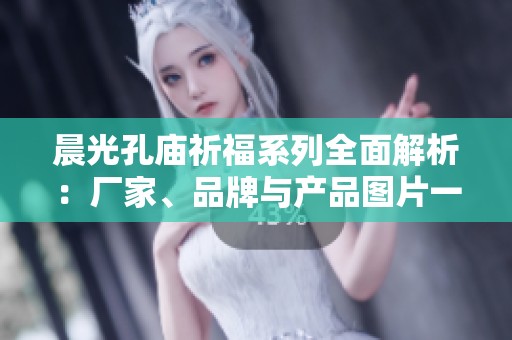 晨光孔庙祈福系列全面解析：厂家、品牌与产品图片一览