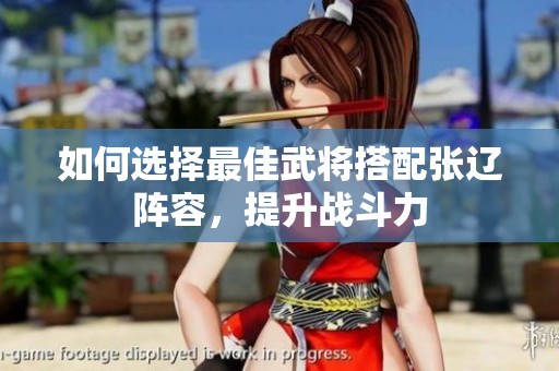 如何选择最佳武将搭配张辽阵容，提升战斗力