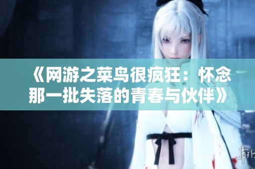 《网游之菜鸟很疯狂：怀念那一批失落的青春与伙伴》