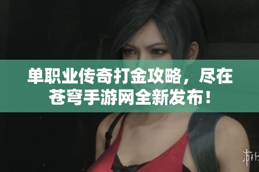 单职业传奇打金攻略，尽在苍穹手游网全新发布！