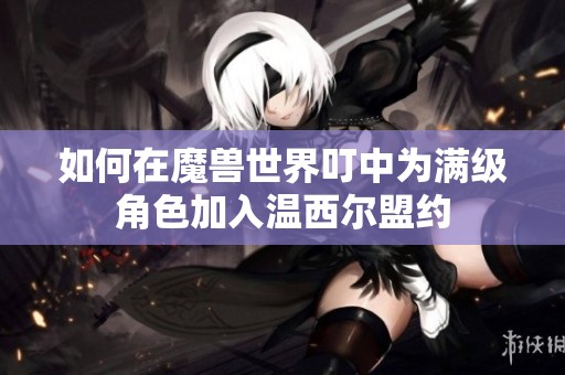 如何在魔兽世界叮中为满级角色加入温西尔盟约