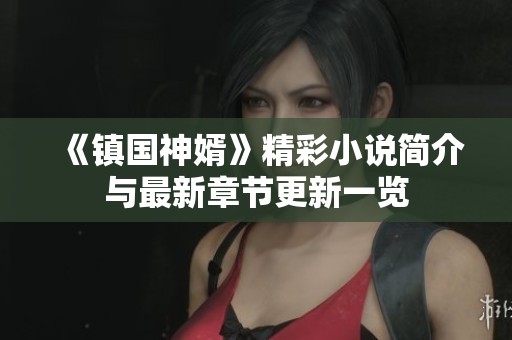 《镇国神婿》精彩小说简介与最新章节更新一览