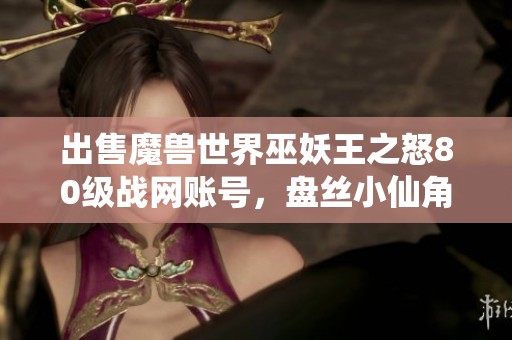 出售魔兽世界巫妖王之怒80级战网账号，盘丝小仙角色等你来拿！