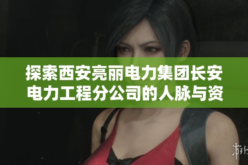 探索西安亮丽电力集团长安电力工程分公司的人脉与资源网络