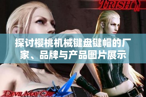 探讨樱桃机械键盘键帽的厂家、品牌与产品图片展示
