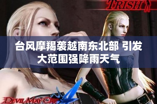 台风摩羯袭越南东北部 引发大范围强降雨天气