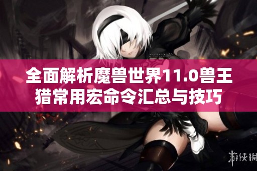 全面解析魔兽世界11.0兽王猎常用宏命令汇总与技巧