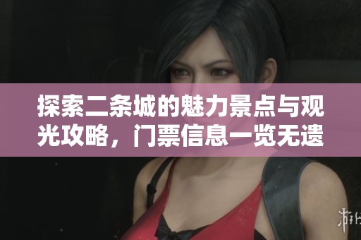 探索二条城的魅力景点与观光攻略，门票信息一览无遗