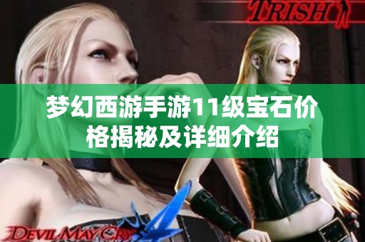 梦幻西游手游11级宝石价格揭秘及详细介绍