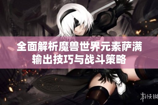 全面解析魔兽世界元素萨满输出技巧与战斗策略