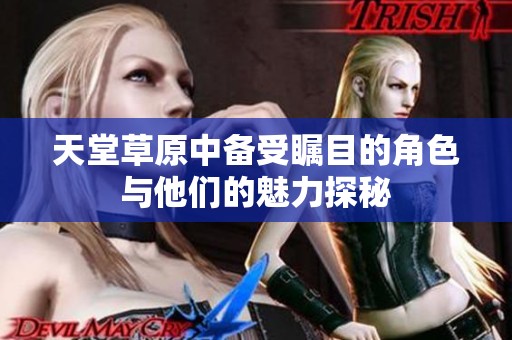 天堂草原中备受瞩目的角色与他们的魅力探秘