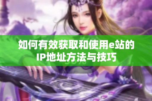 如何有效获取和使用e站的IP地址方法与技巧