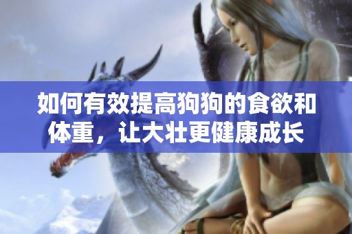 如何有效提高狗狗的食欲和体重，让大壮更健康成长
