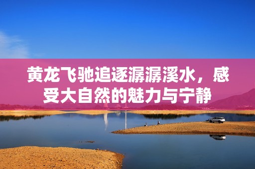 黄龙飞驰追逐潺潺溪水，感受大自然的魅力与宁静