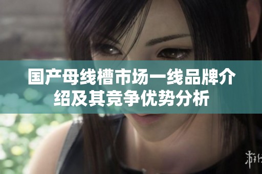 国产母线槽市场一线品牌介绍及其竞争优势分析