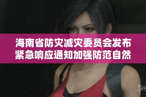 海南省防灾减灾委员会发布紧急响应通知加强防范自然灾害