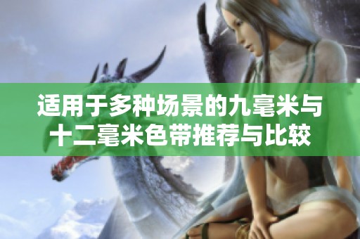 适用于多种场景的九毫米与十二毫米色带推荐与比较