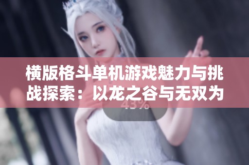 横版格斗单机游戏魅力与挑战探索：以龙之谷与无双为例