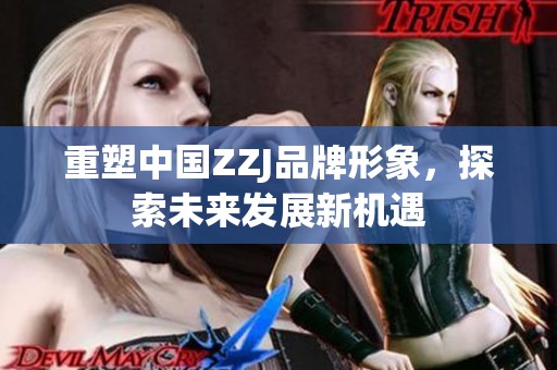 重塑中国ZZJ品牌形象，探索未来发展新机遇