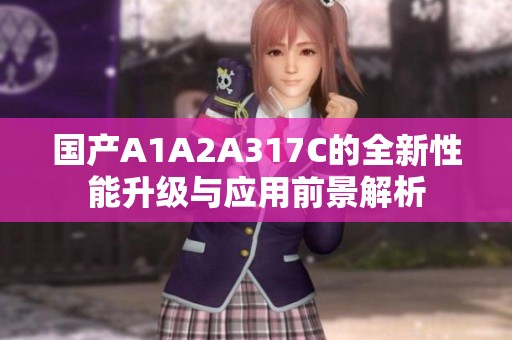 国产A1A2A317C的全新性能升级与应用前景解析