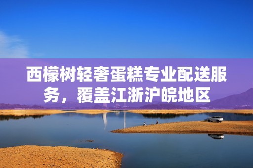 西檬树轻奢蛋糕专业配送服务，覆盖江浙沪皖地区