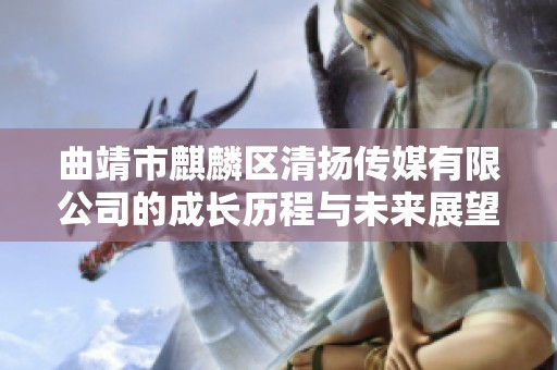 曲靖市麒麟区清扬传媒有限公司的成长历程与未来展望分析