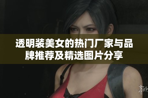 透明装美女的热门厂家与品牌推荐及精选图片分享