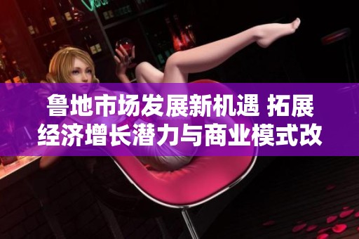 鲁地市场发展新机遇 拓展经济增长潜力与商业模式改革