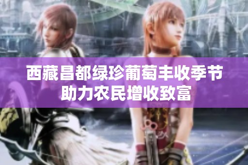 西藏昌都绿珍葡萄丰收季节 助力农民增收致富