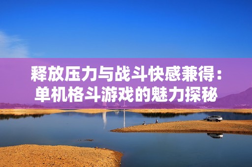 释放压力与战斗快感兼得：单机格斗游戏的魅力探秘