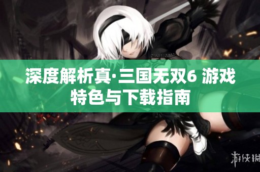 深度解析真·三国无双6 游戏特色与下载指南