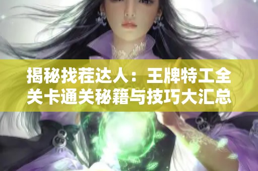 揭秘找茬达人：王牌特工全关卡通关秘籍与技巧大汇总