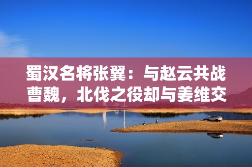 蜀汉名将张翼：与赵云共战曹魏，北伐之役却与姜维交锋