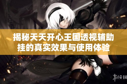 揭秘天天开心王国透视辅助挂的真实效果与使用体验