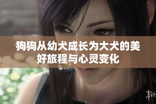 狗狗从幼犬成长为大犬的美好旅程与心灵变化