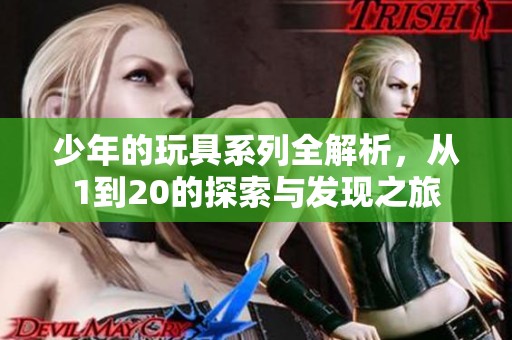 少年的玩具系列全解析，从1到20的探索与发现之旅