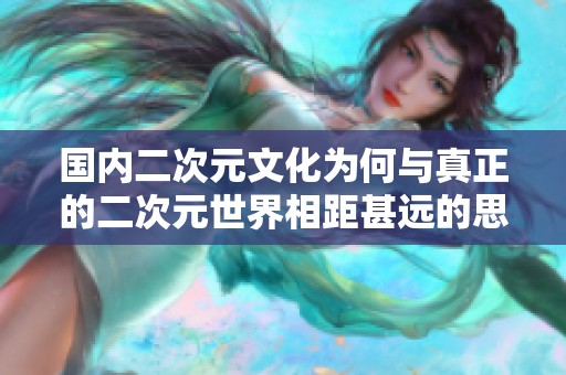 国内二次元文化为何与真正的二次元世界相距甚远的思考与探讨