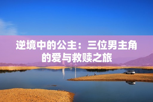 逆境中的公主：三位男主角的爱与救赎之旅