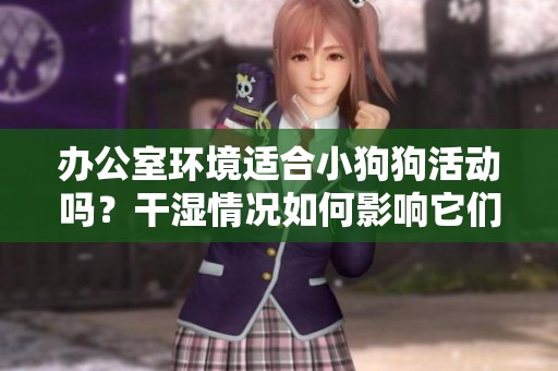 办公室环境适合小狗狗活动吗？干湿情况如何影响它们的健康