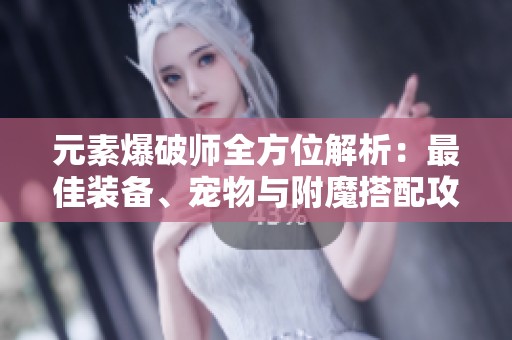 元素爆破师全方位解析：最佳装备、宠物与附魔搭配攻略