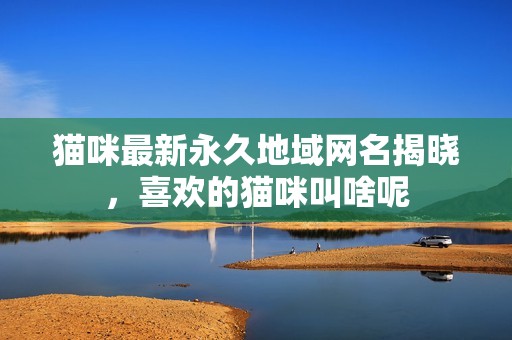 猫咪最新永久地域网名揭晓，喜欢的猫咪叫啥呢