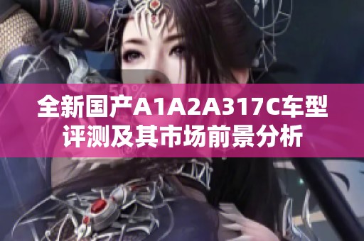 全新国产A1A2A317C车型评测及其市场前景分析