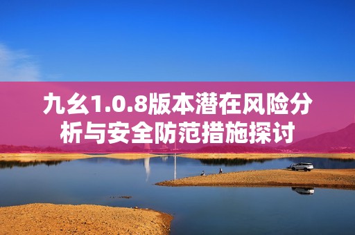 九幺1.0.8版本潜在风险分析与安全防范措施探讨
