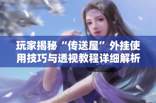 玩家揭秘“传送屋”外挂使用技巧与透视教程详细解析