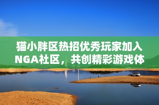 猫小胖区热招优秀玩家加入NGA社区，共创精彩游戏体验！