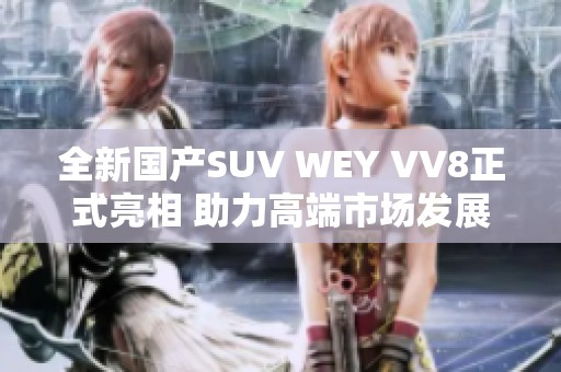 全新国产SUV WEY VV8正式亮相 助力高端市场发展