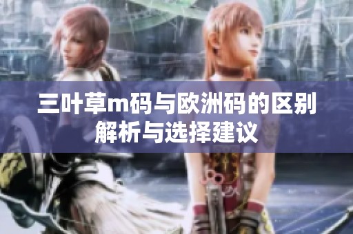 三叶草m码与欧洲码的区别解析与选择建议