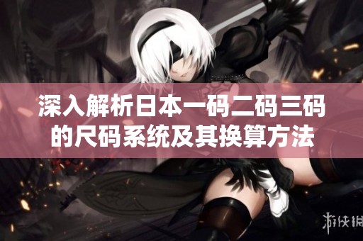 深入解析日本一码二码三码的尺码系统及其换算方法